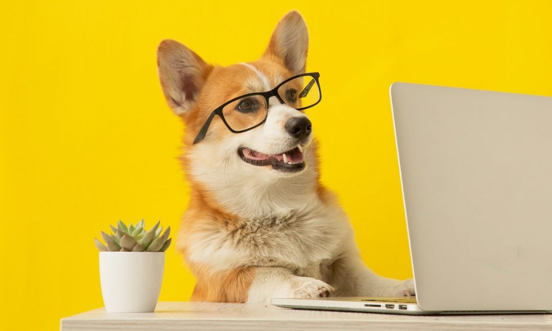 Améliorer son référencement (SEO) grâce au blog